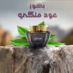 WhatsApp Image 2024-11-13 at 09.56.46_6be0e7b8